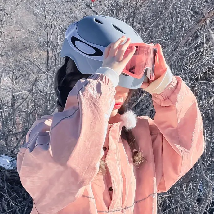 雪国抉择 海报